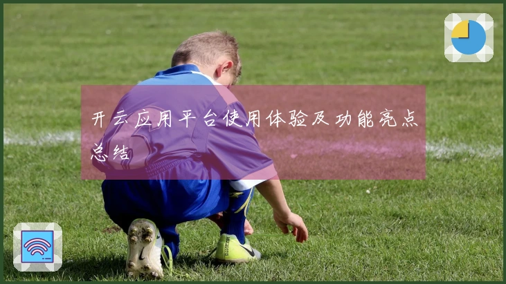 开云应用平台使用体验及功能亮点总结