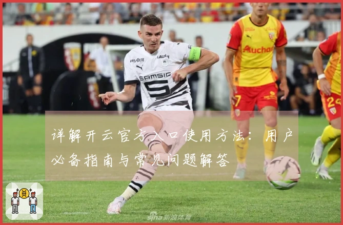 详解开云官方入口使用方法：用户必备指南与常见问题解答