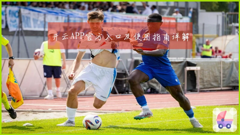 开云APP官方入口及使用指南详解